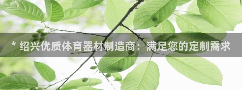 kb88凯时唯一官网注册